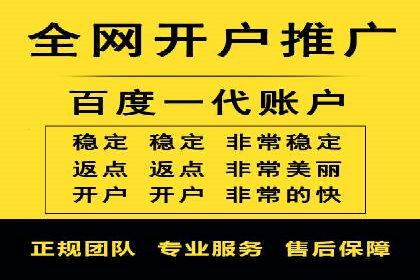 竞价广告的投放策略与网络推广的实践案例